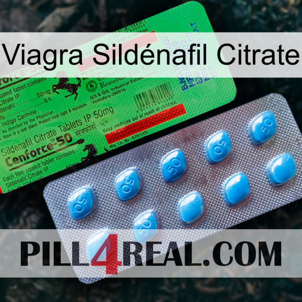 Viagra Sildénafil Citrate new03.jpg